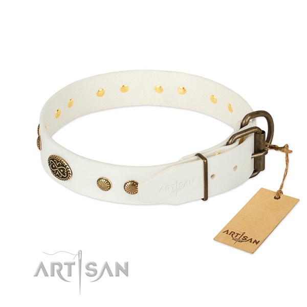 Durable adornments on full grain leather dog collar for your four-legged friend