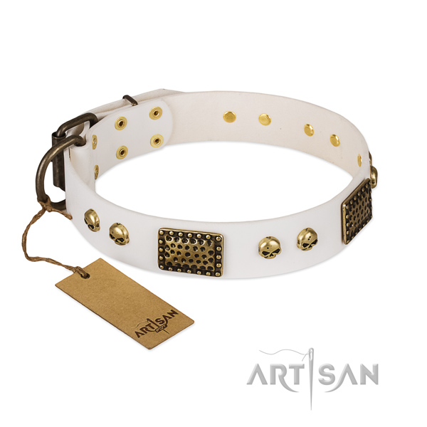 Strong hardware on daily use dog collar