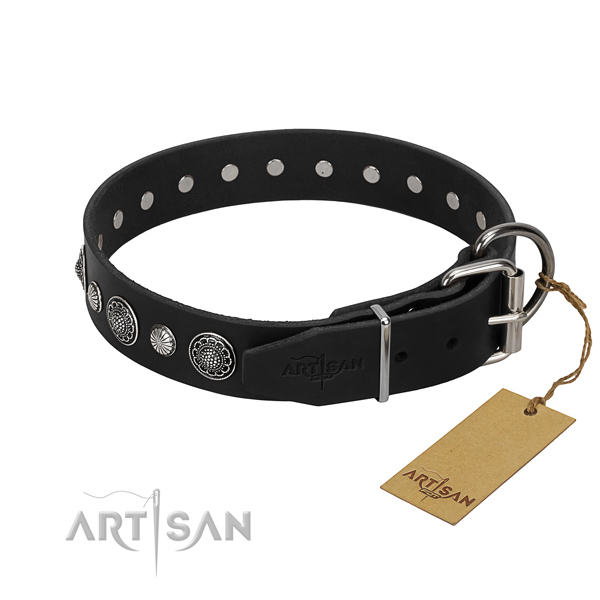 Top notch full grain genuine leather dog collar with extraordinary embellishments