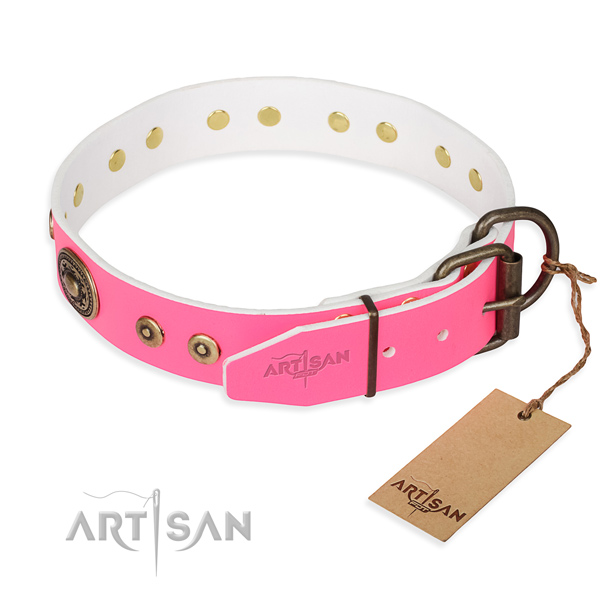 Leather dog collar made of top notch material with rust resistant embellishments