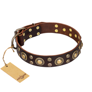 "Flower Melody" FDT Artisan Brown Leather Bullmastiff Collar with Mixed Studs