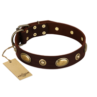 "Hebe's Jewel" FDT Artisan Brown Genuine Leather Bullmastiff Collar