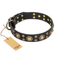 "Baroque Chic" FDT Artisan Studded Black Leather Bullmastiff Collar