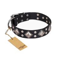"Smart Geometry" FDT Artisan Studded Leather Bullmastiff Collar