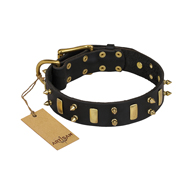 "Medieval Style" FDT Artisan Leather Bullmastiff Collar with Brass Plated Plates and Spikes