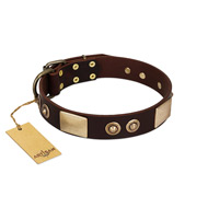 "Sense of Freedom" FDT Artisan Brown Leather Bullmastiff Collar with Old Bronze-Plated Studs and Plates