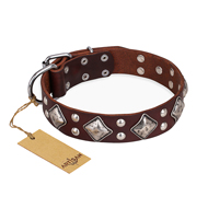 "King of Grace" FDT Artisan Stylish Leather Bullmastiff Collar with Old Silver-Like Plated Decorations