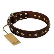"Fashion Studs" FDT Artisan Decorated Leather Bullmastiff Collar with Old Bronze-Plated Steel Hardware