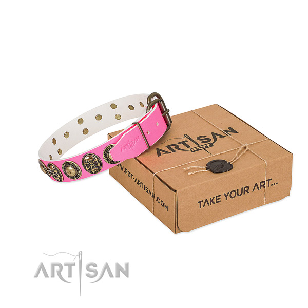 Strong embellishments on dog collar for daily walking