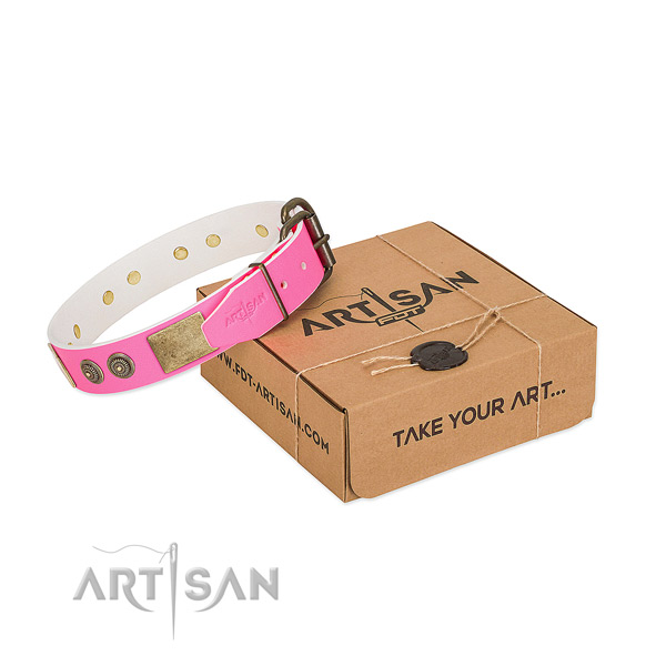 Corrosion resistant fittings on full grain natural leather dog collar for fancy walking