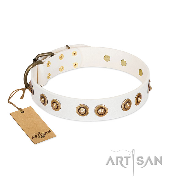 Extraordinary full grain genuine leather collar for your four-legged friend
