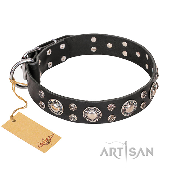Basic training dog collar of quality full grain leather with decorations