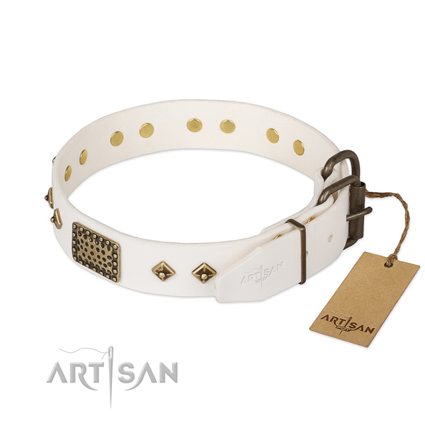 Full grain natural leather dog collar with durable fittings and embellishments
