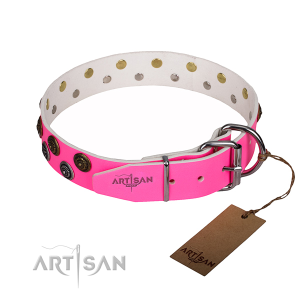 Comfy wearing studded dog collar of best quality leather