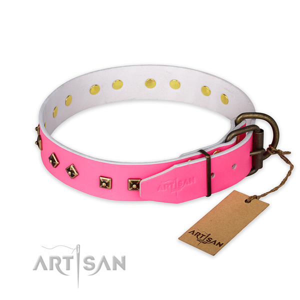 Durable buckle on full grain natural leather collar for walking your dog