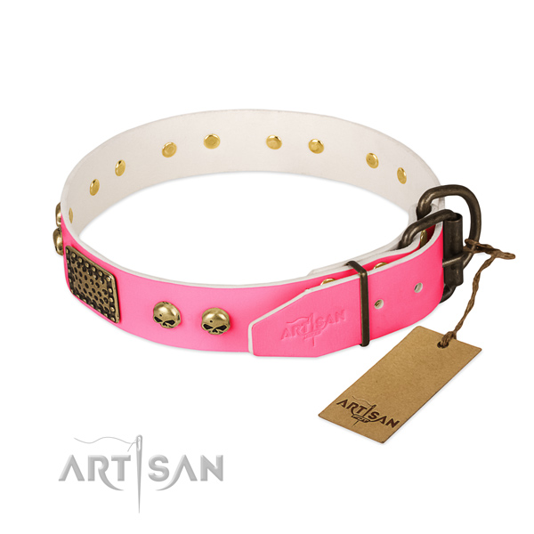 Rust resistant adornments on daily walking dog collar