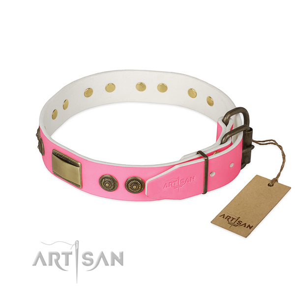 Rust-proof embellishments on basic training dog collar