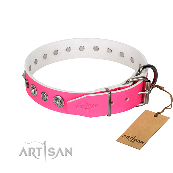 Finest quality natural leather dog collar with stylish embellishments