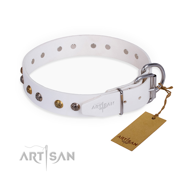 Natural leather dog collar with unique strong decorations