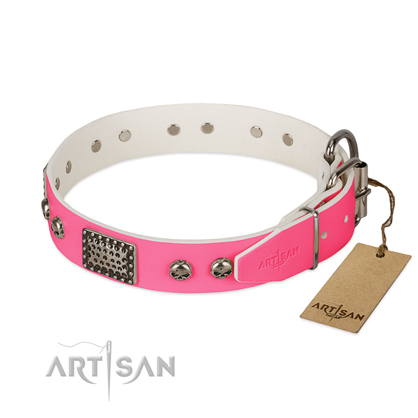 Strong buckle on everyday walking dog collar