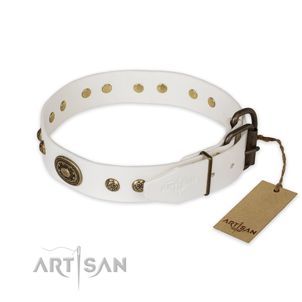 Corrosion proof traditional buckle on full grain natural leather collar for daily walking your doggie
