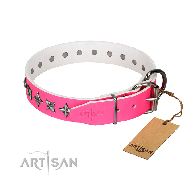 Durable full grain leather dog collar with significant embellishments