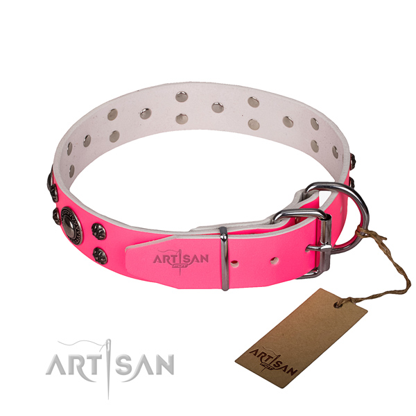 Everyday walking embellished dog collar of durable leather