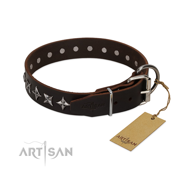 Everyday use adorned dog collar of finest quality full grain leather