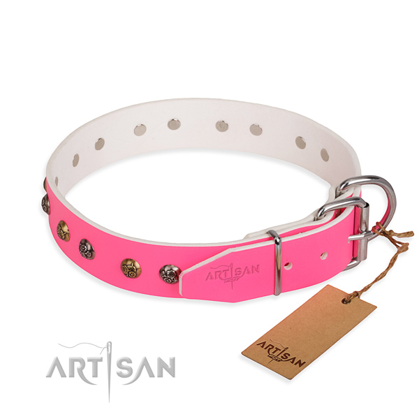 Natural leather dog collar with trendy reliable embellishments
