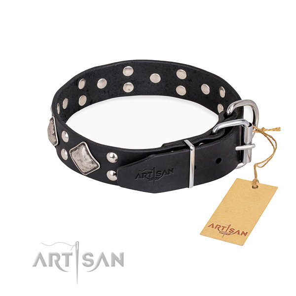Natural leather dog collar with trendy reliable embellishments