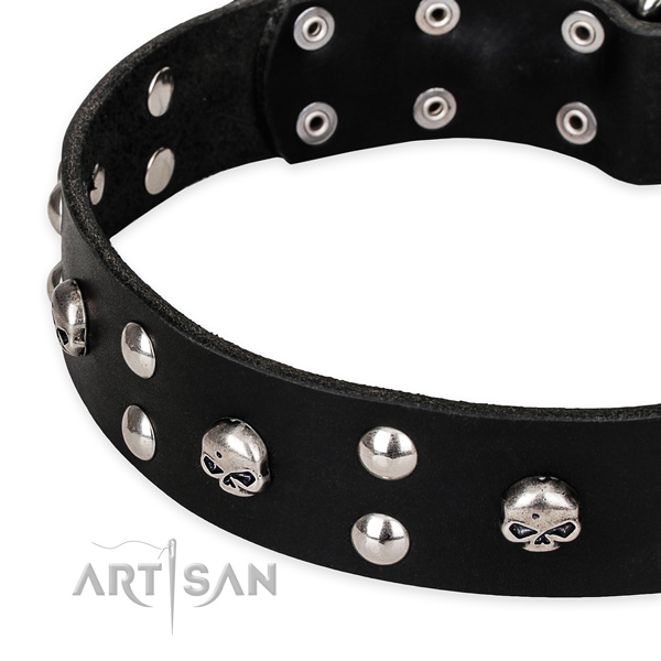 Daily use embellished dog collar of best quality natural leather