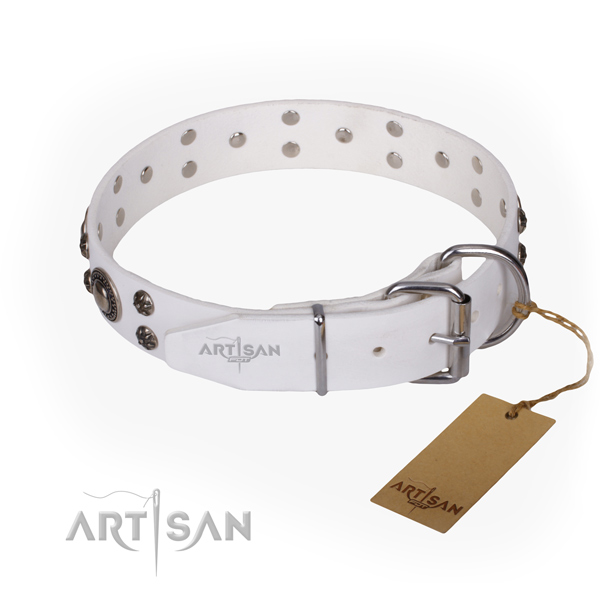 Daily walking decorated dog collar of top quality full grain genuine leather