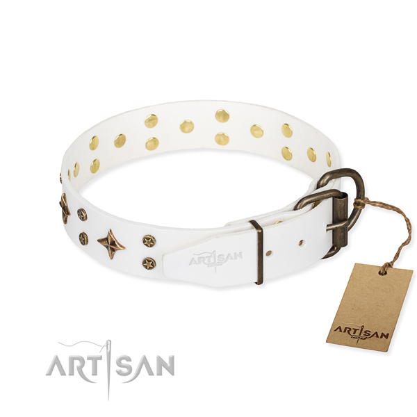 Daily use decorated dog collar of quality leather
