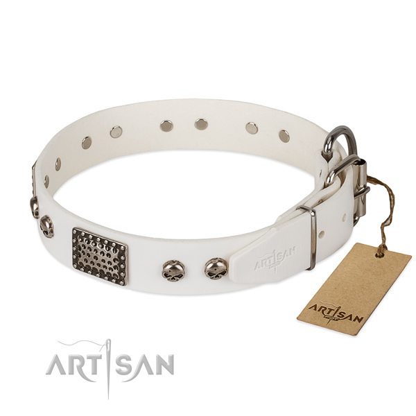Corrosion resistant buckle on walking dog collar