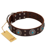 "Hypnotic Stones" FDT Artisan Brown Leather Bullmastiff Collar with Chrome Plated Brooches and Square Studs