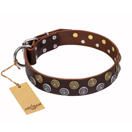 "Strong Shields" FDT Artisan leather Bullmastiff collar with stylish decorations