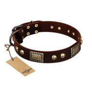 "Magic Amulet" Brown Leather Bullmastiff Collar with Skulls and Plates