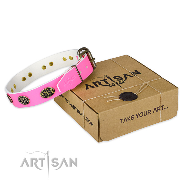 Corrosion proof studs on dog collar for stylish walking