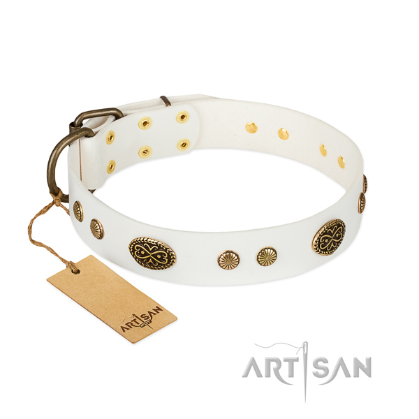 Rust-proof buckle on leather dog collar for your canine