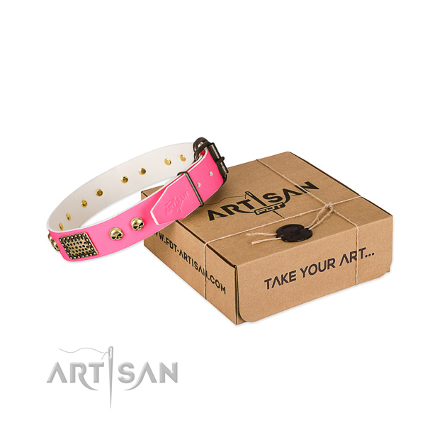 Corrosion resistant traditional buckle on dog collar for walking