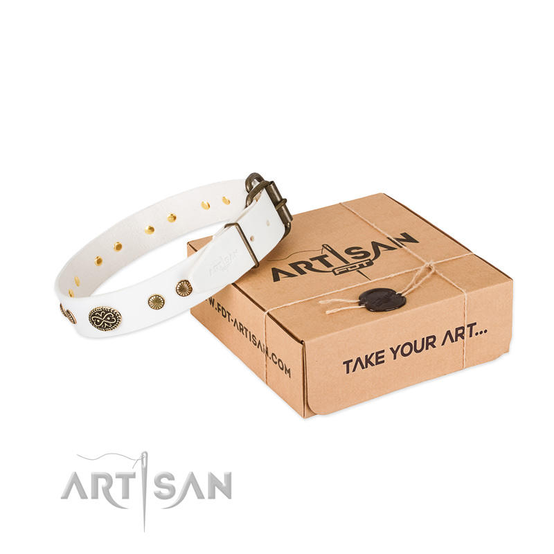 Corrosion proof decorations on natural leather dog collar for your four-legged friend