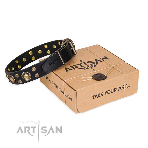 Basic training dog collar of finest quality full grain genuine leather with decorations