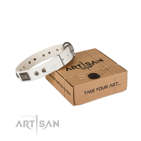 Corrosion proof studs on dog collar for easy wearing