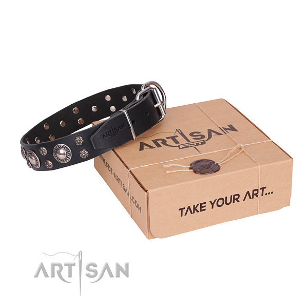 Easy wearing dog collar of quality full grain leather with studs