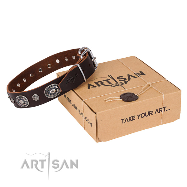 High quality full grain leather dog collar handcrafted for everyday walking