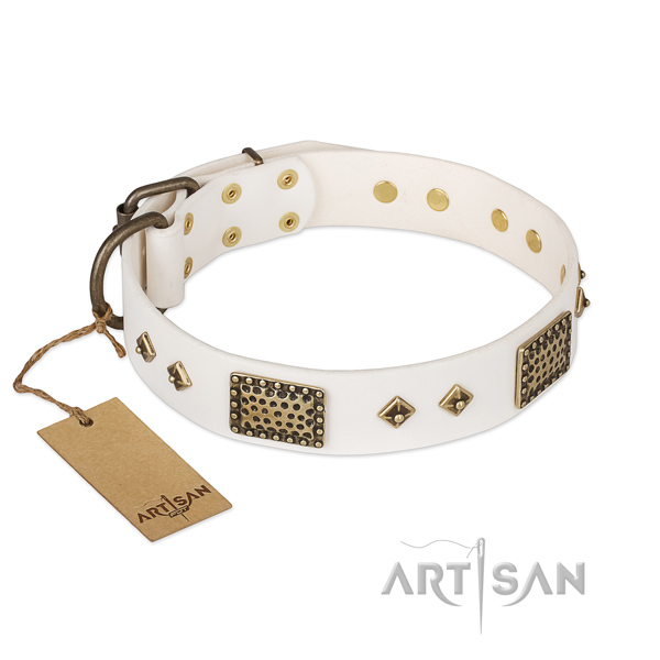 Studded full grain leather dog collar for easy wearing
