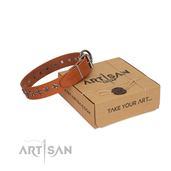 Top quality full grain natural leather dog collar with extraordinary studs