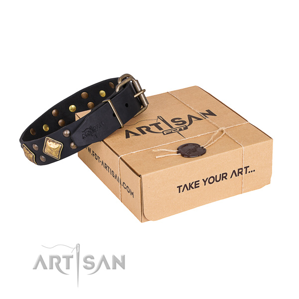 Daily walking dog collar with Extraordinary reliable adornments