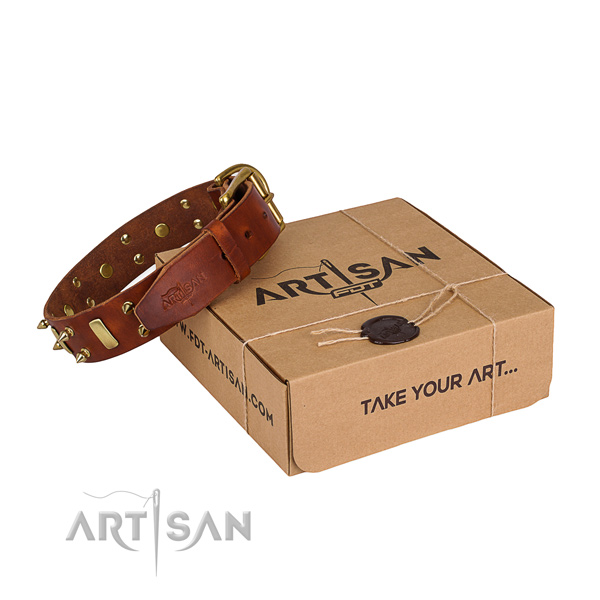 Basic training dog collar of strong full grain leather with adornments