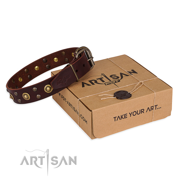 Durable traditional buckle on full grain leather collar for your beautiful dog